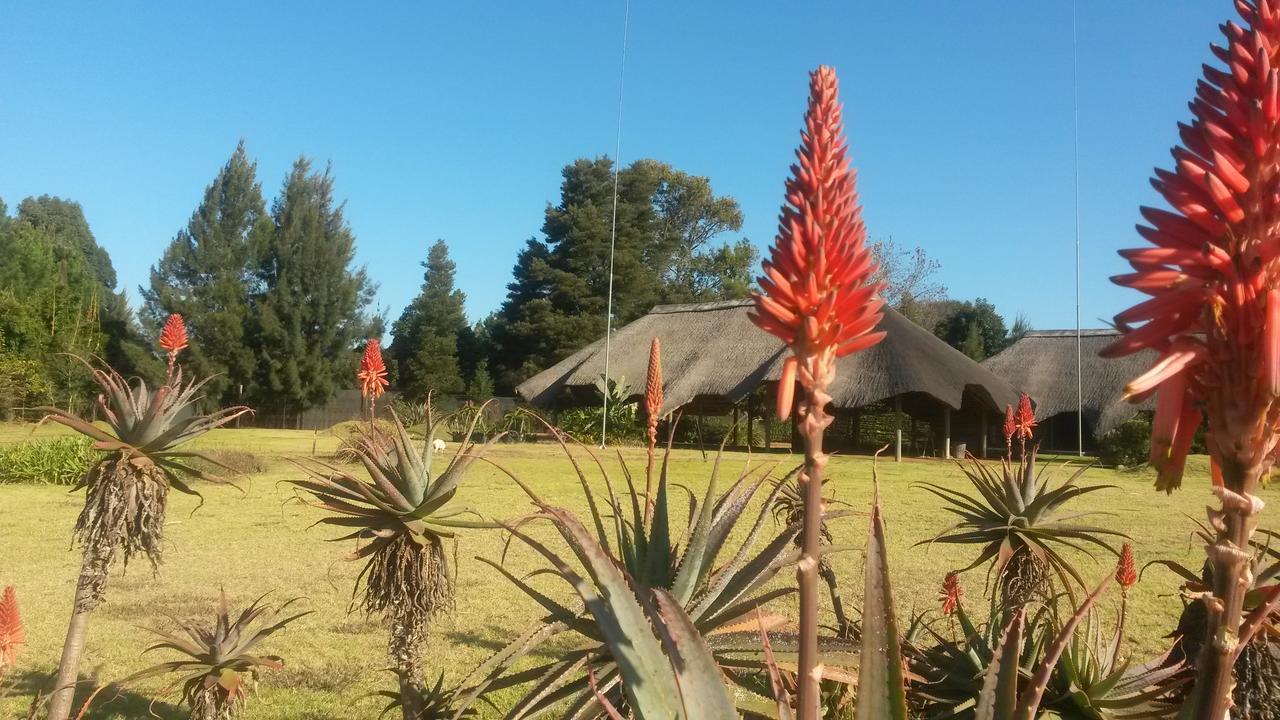 African Flair Country Lodge Piet Retief Exterior foto