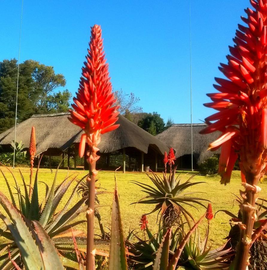 African Flair Country Lodge Piet Retief Exterior foto