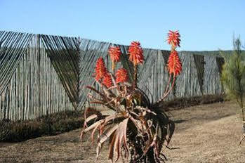 African Flair Country Lodge Piet Retief Exterior foto