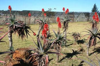 African Flair Country Lodge Piet Retief Exterior foto
