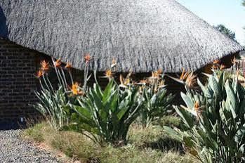 African Flair Country Lodge Piet Retief Exterior foto